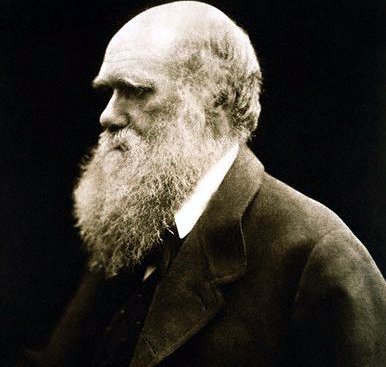 Charles_Darwin_by_Julia_Margaret_Cameron.jpg from Wikimedia Commons, <see http://en.wikipedia.org/wiki/Image:Charles_Darwin_by_Julia_Margaret_Cameron.jpg>